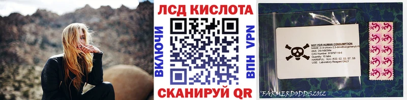 где купить наркоту  Великий Новгород  Наркотические марки 1,8мг 