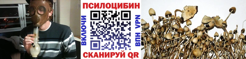 блэк спрут маркетплейс Великий Новгород Галлюциногенные грибы Psilocybine cubensis