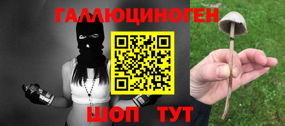 Галлюциногенные грибы мухоморы Великий Новгород